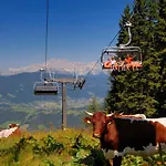Dachstein 27 By Interhome Lägenhet Flachau