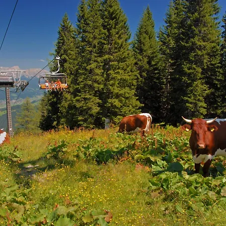 Apartment Dachstein 27 By Interhome *