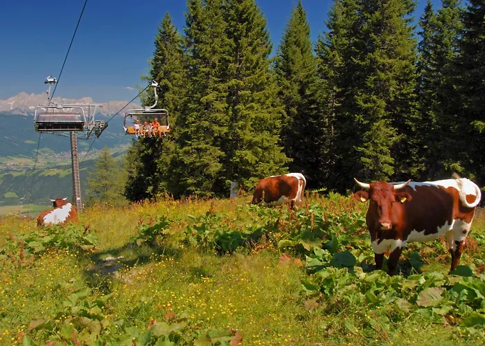 Apartment Dachstein 27 By Interhome *